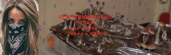 прущие крисы Алексеевка