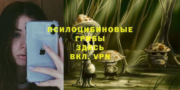 прущие крисы Алексеевка