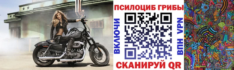 Псилоцибиновые грибы мухоморы  Краснослободск 